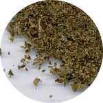 Lemon Balm (Melissa) - Click Image to Close